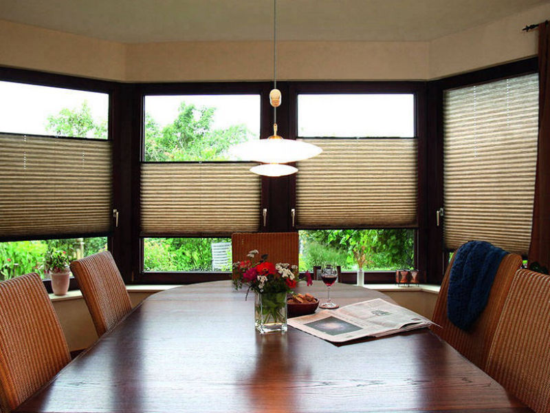 Honeycomb Pleated Blind